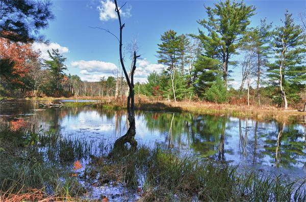 27 Redgate Road Tyngsboro, MA 01879 - Photo 8 of 9 Gallery Image 8
