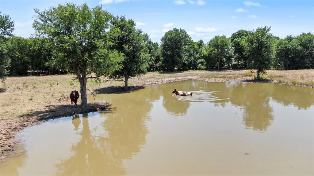 A Wilson Bend Road Millsap, TX 76066 - Photo 4 of 11 a view of a lake view