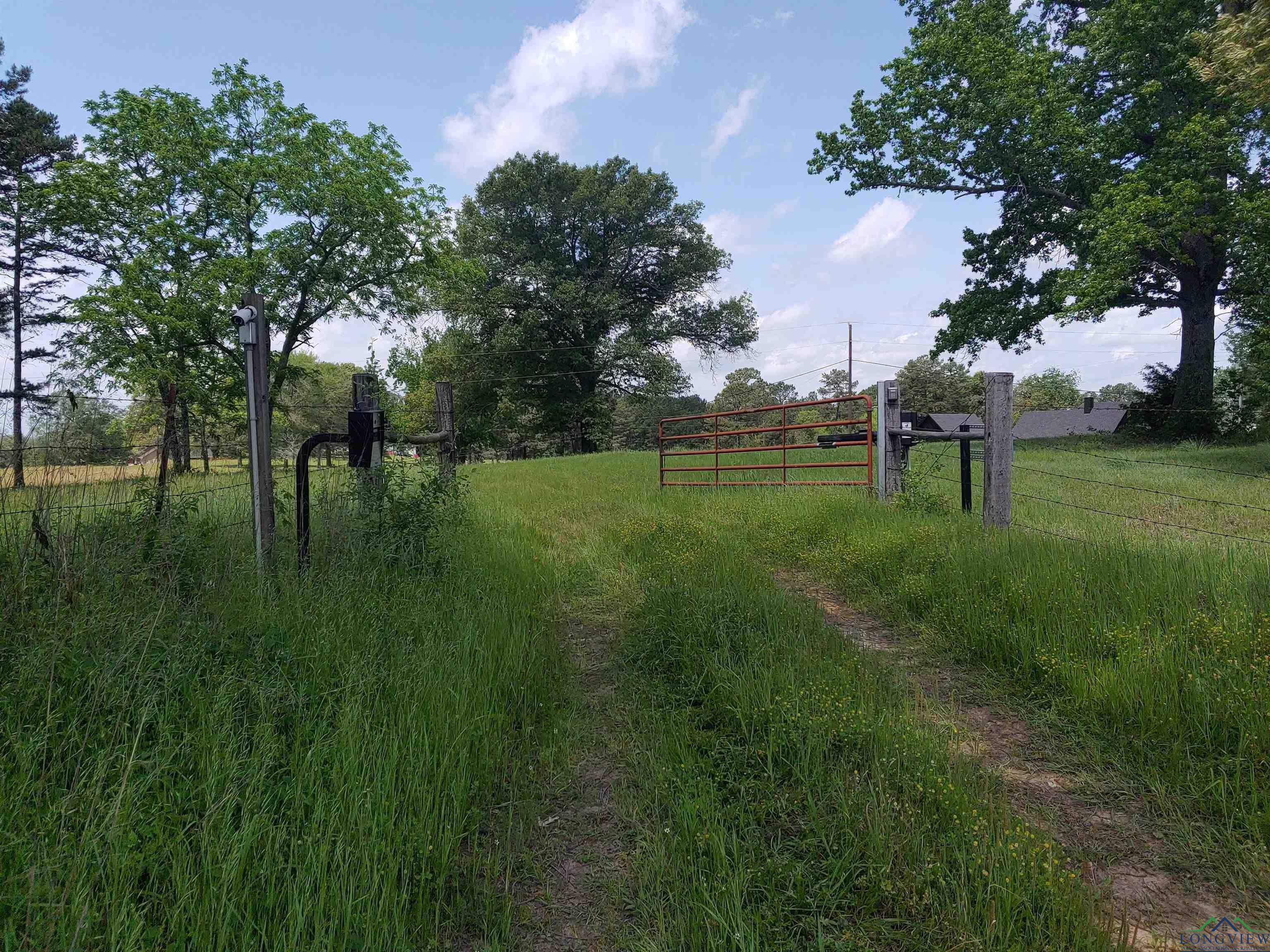1101 Fire Tower Road Hallsville, TX 75650 - Photo 4 of 6 Gallery Image 4