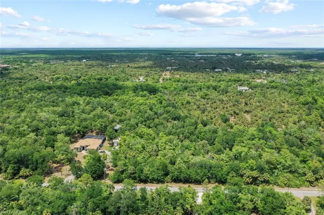 a view of a city with lush green forest