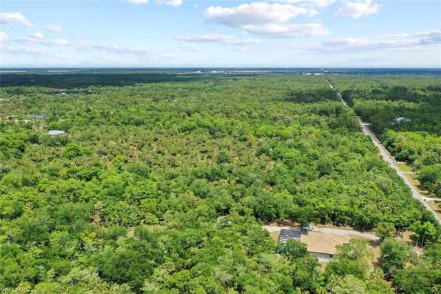 a view of a garden with an outdoor space