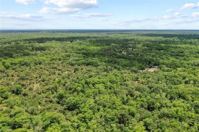 a view of a field with an ocean