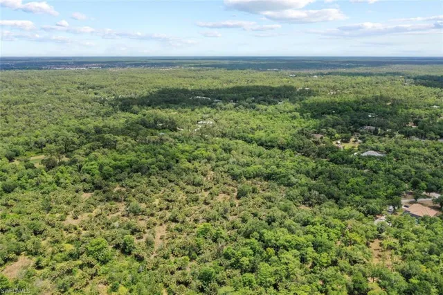 a view of a field with an ocean