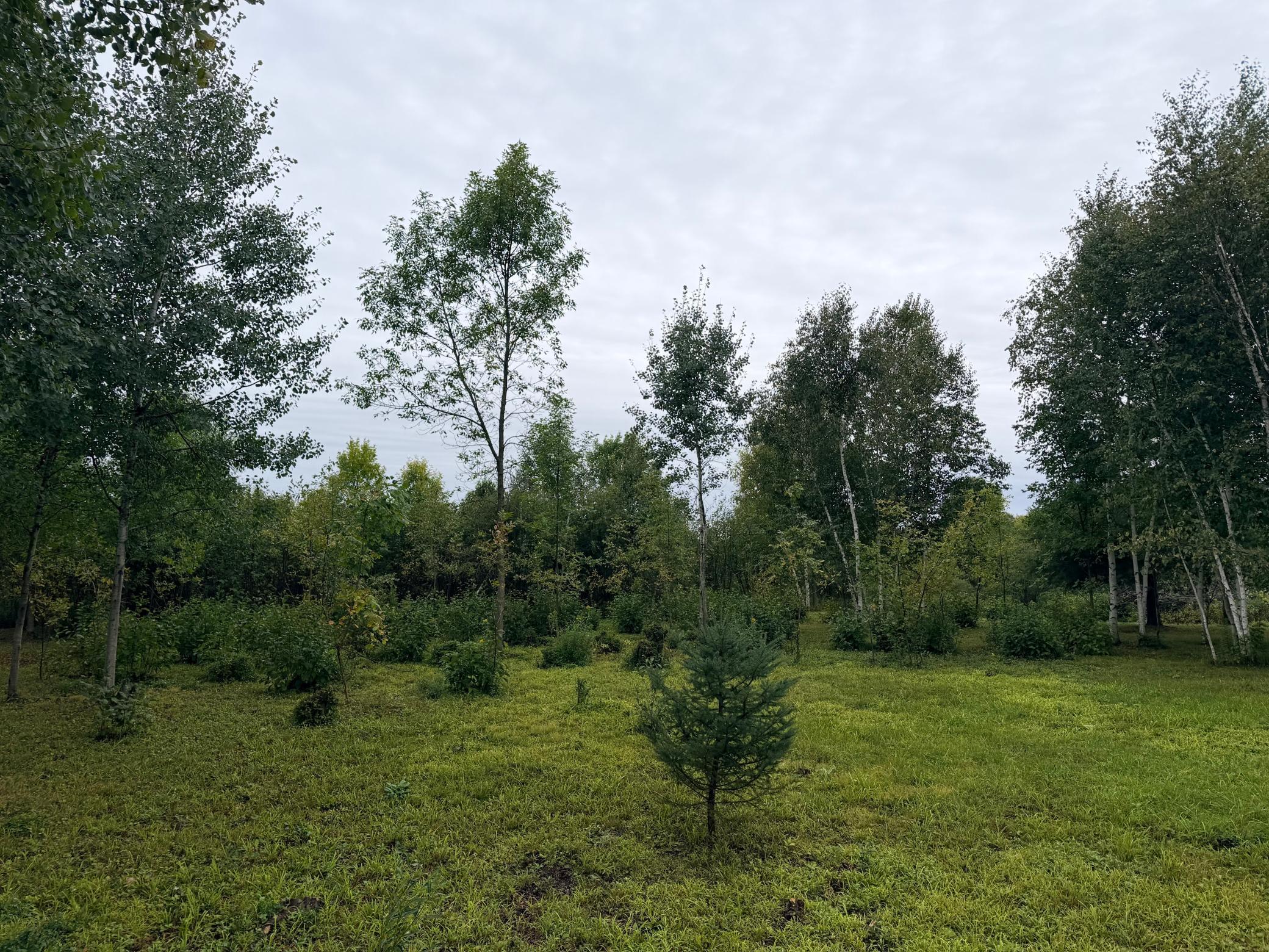 84227 Denham Road Willow River, MN 55795 - Photo 12 of 53 Gallery Image 12