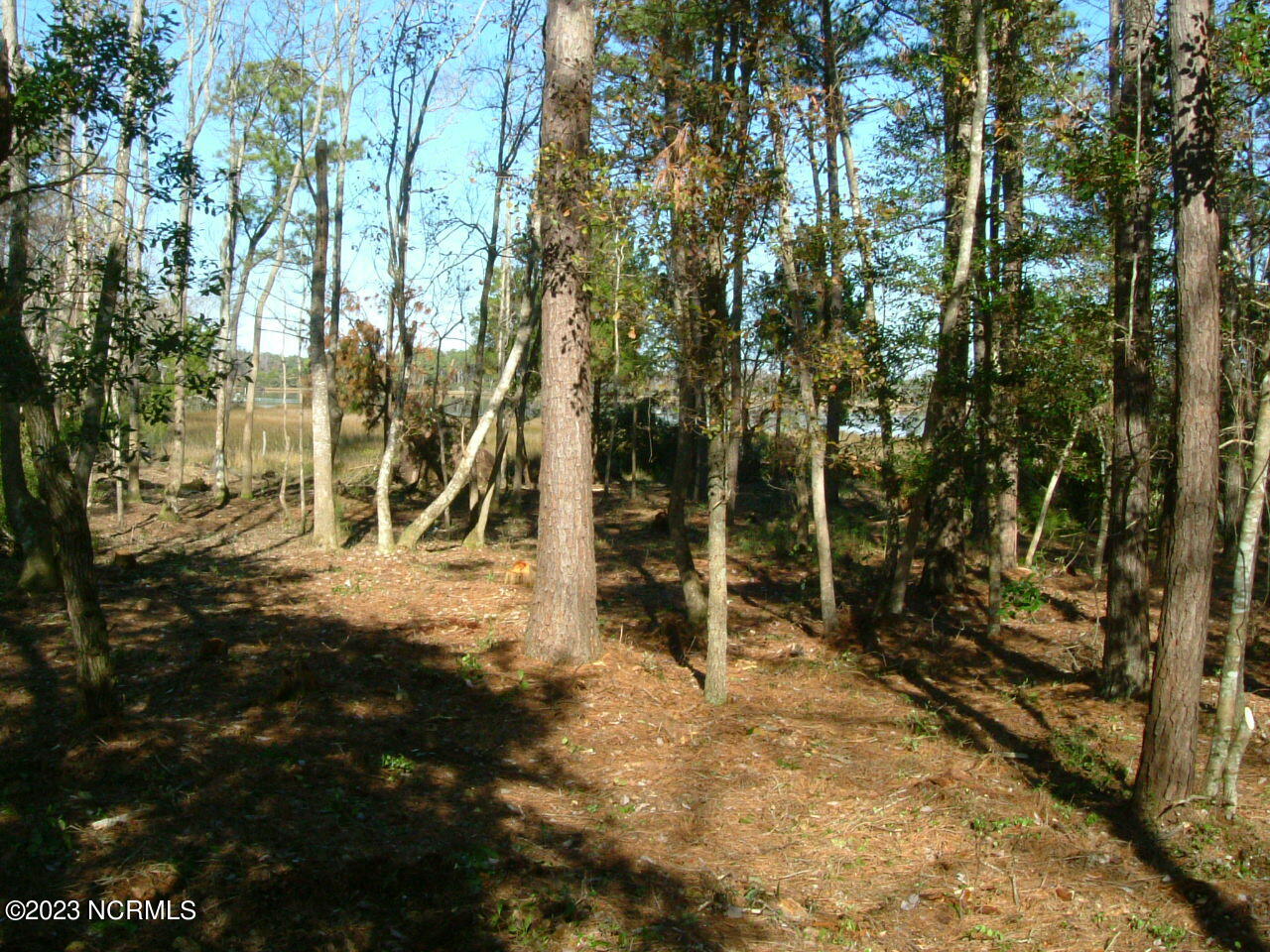 460 Vfw Road Cedar Point, NC 28584 - Photo 21 of 32 DSCF1113