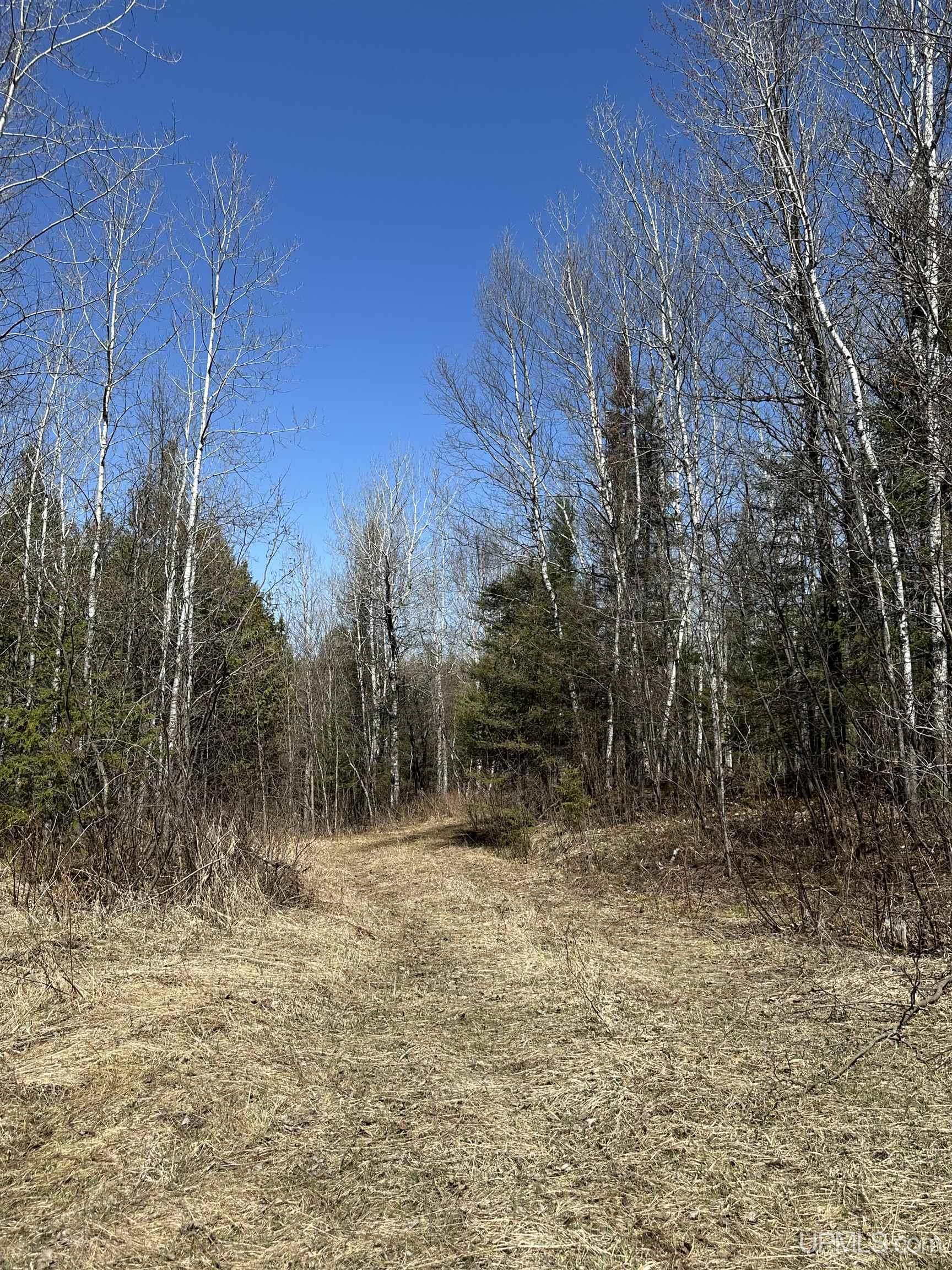 69 Old 69 Road Crystal Falls, MI 49920 - Photo 1 of 21