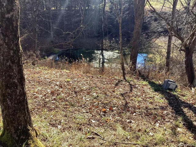 $359,000 | 463 County Road 131, Callicoon, NY 12723