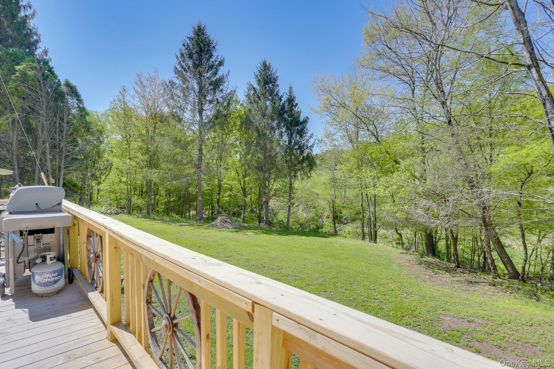 463 County Road 131 Callicoon, NY 12723 - Photo 3 of 29 a view of a deck in backyard of house
