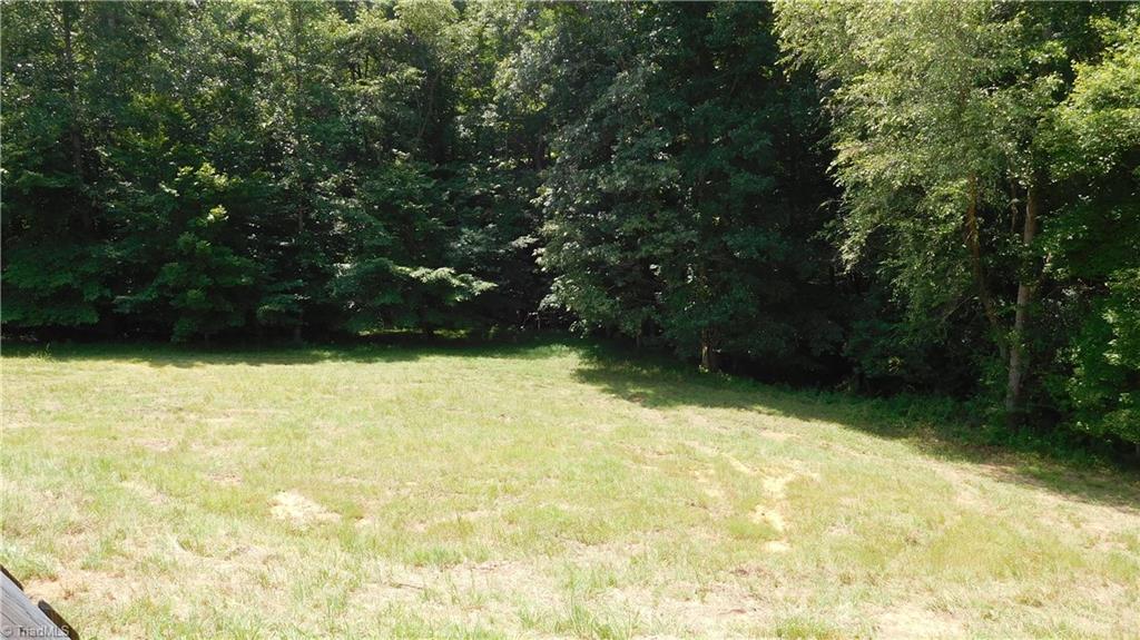1334 White Rock Road Pinnacle, NC 27043 - Photo 25 of 27 Back yard.