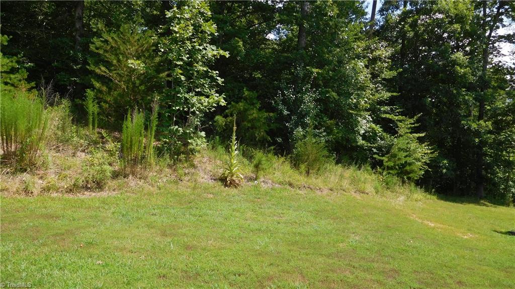1334 White Rock Road Pinnacle, NC 27043 - Photo 26 of 27 Yard.