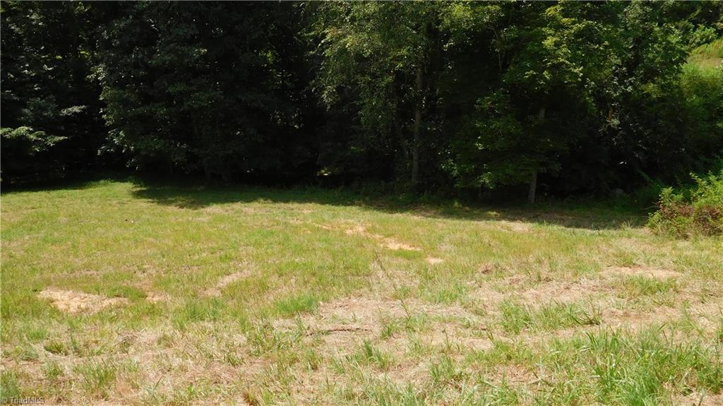 1334 White Rock Road Pinnacle, NC 27043 - Photo 27 of 27 Yard.