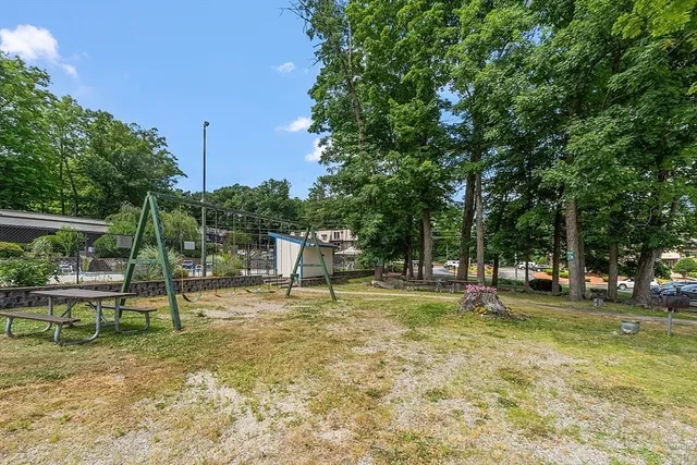 a swimming pool with lots of tress and trees