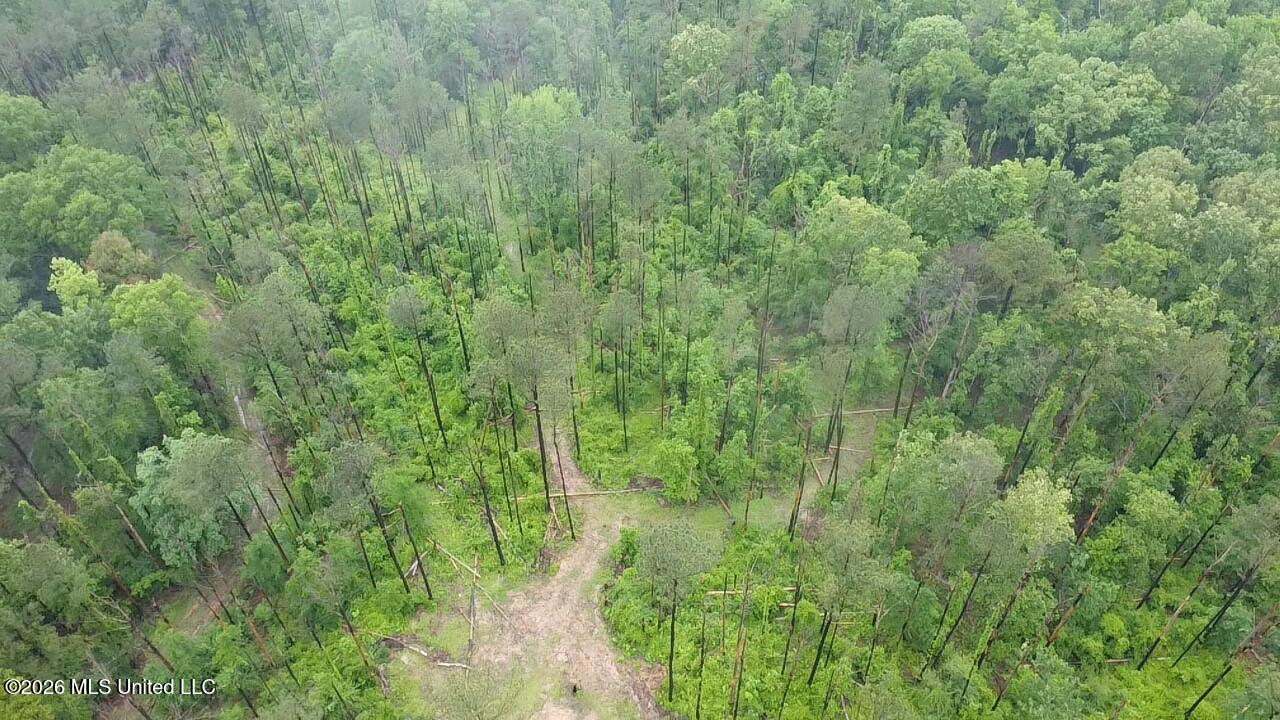 Ford Lane Crystal Springs, MS 39059 - Photo 10 of 15 2026-04-30-12-32-38-954