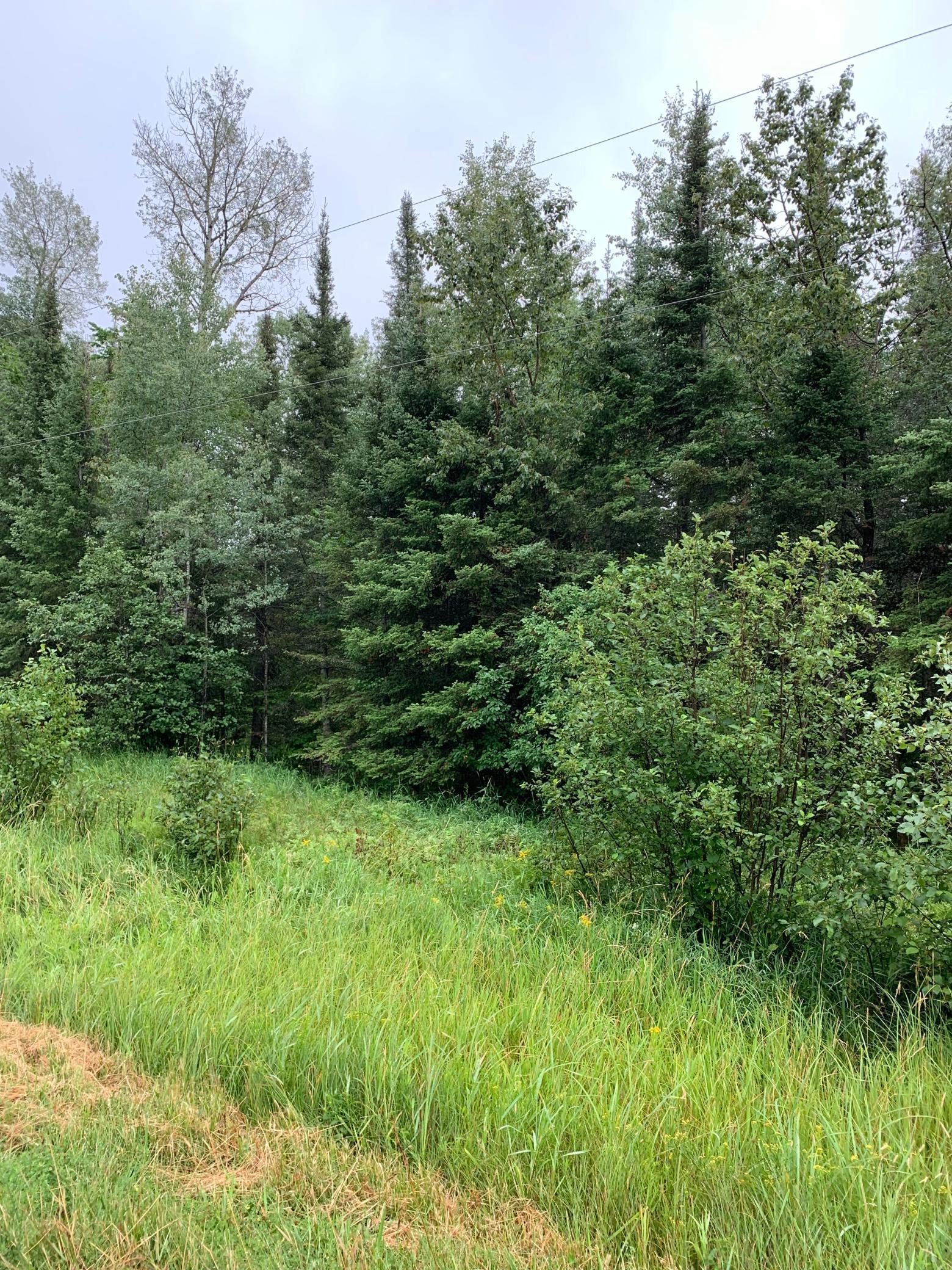 Xxx Xxx Town Line Road Forbes, MN 55738 - Photo 1 of 1