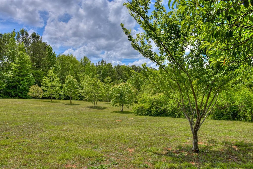 5584 Harlem Grovetown Road Grovetown, GA 30813 - Photo 58 of 58 Gallery Image 58