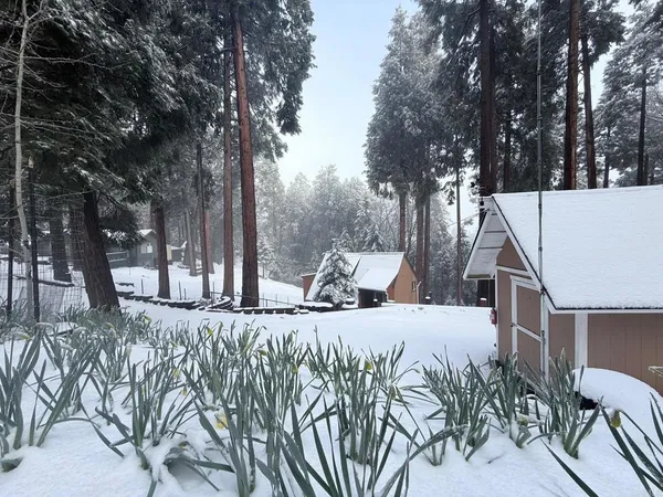 $275,000 | 32811 Birch Hill Road, Palomar Mountain, CA 92060