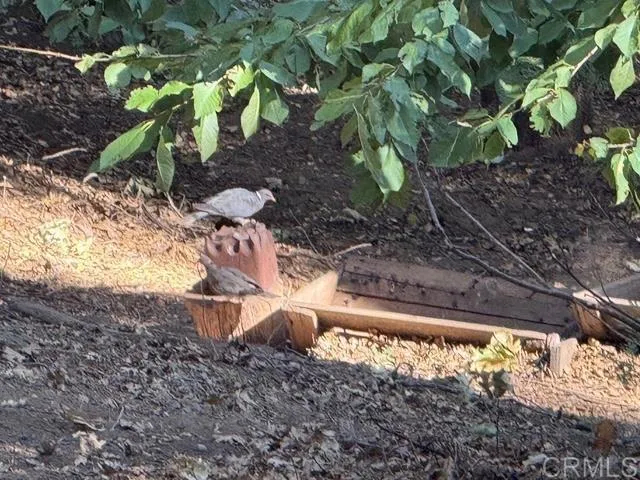 $299,500 | 32811 Birch Hill Road, Palomar Mountain, CA 92060