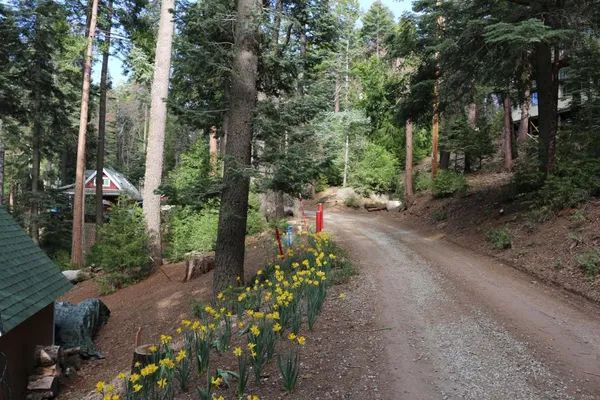$275,000 | 32811 Birch Hill Road, Palomar Mountain, CA 92060