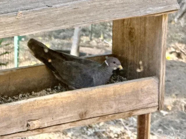 $299,500 | 32811 Birch Hill Road, Palomar Mountain, CA 92060