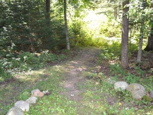 4917 Currie Lake Road Harshaw, WI 54529 - Photo 17 of 20 Gallery Image 17