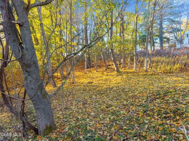 $12,000 | L8 Argusville Road, Sharon Springs, NY 13459