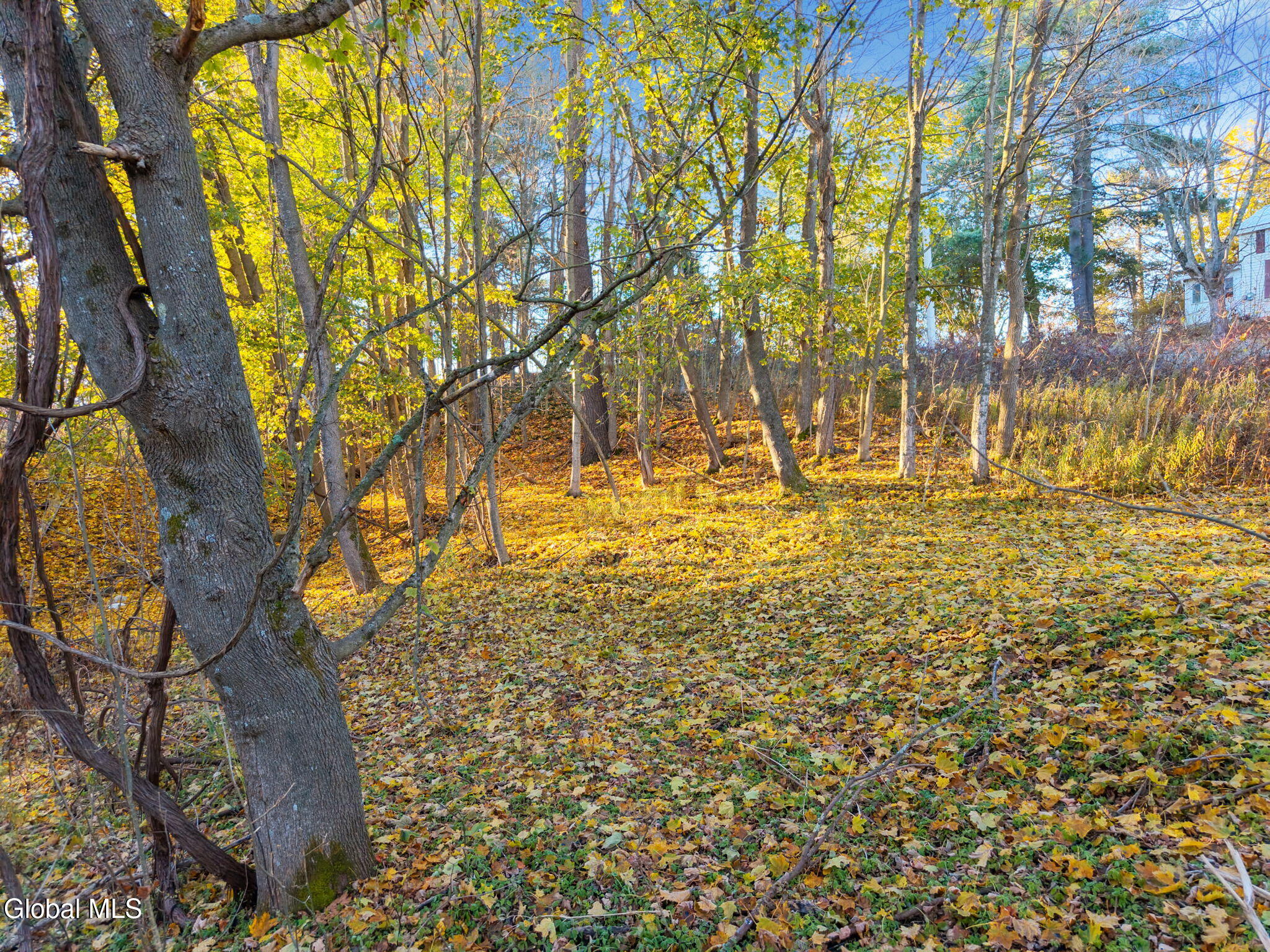L8 Argusville Road Sharon Springs, NY 13459 - Photo 12 of 16 12-ArgusvilleRd_12