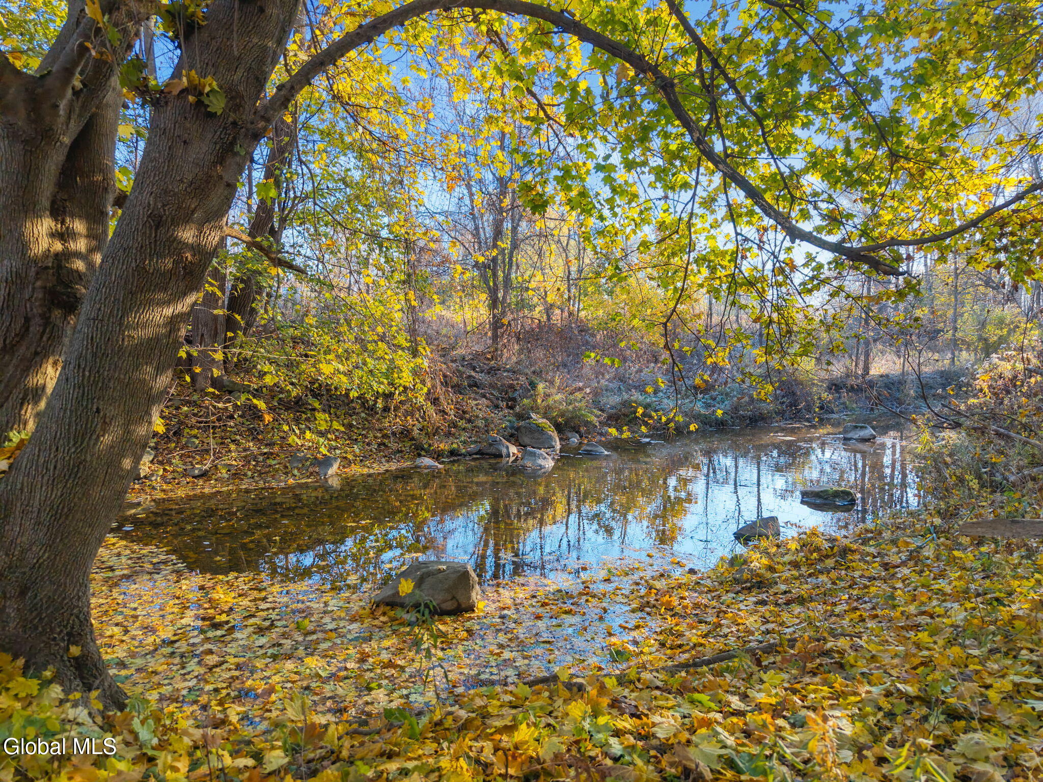 L8 Argusville Road Sharon Springs, NY 13459 - Photo 2 of 16 2-ArgusvilleRd_02