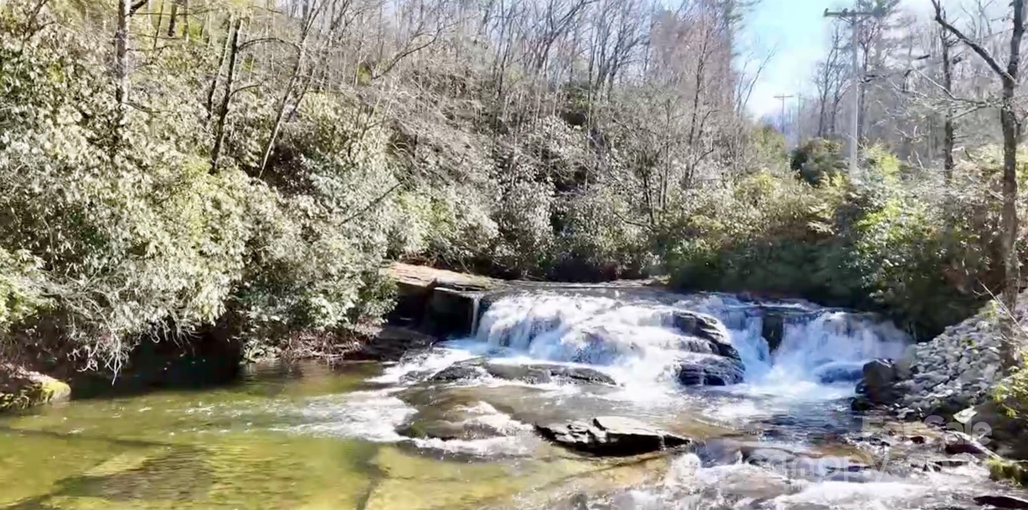 262 Rooster Cove Brevard, NC 28712 - Photo 37 of 38