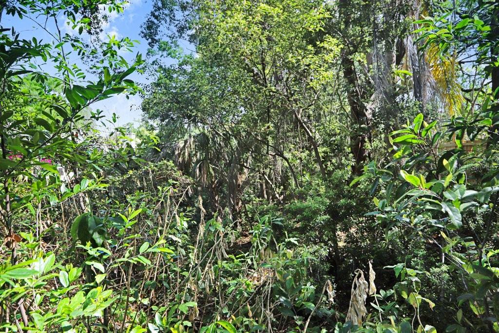 14931 Old Pointe Road Tampa, FL 33613 - Photo 25 of 26