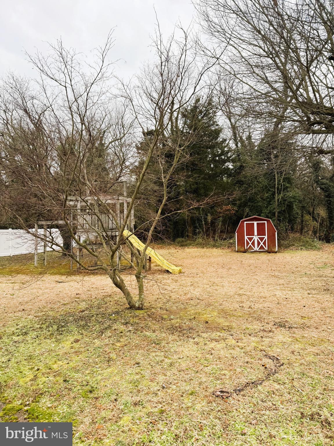 18 Cornell Avenue Bridgeton, NJ 08302 - Photo 4 of 20 a view of a yard with an trees