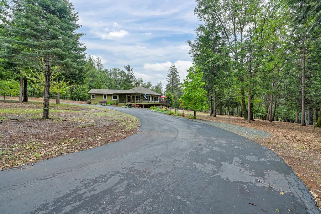 29082 Ridge View Road Foresthill, CA 95631 - Photo 66 of 78