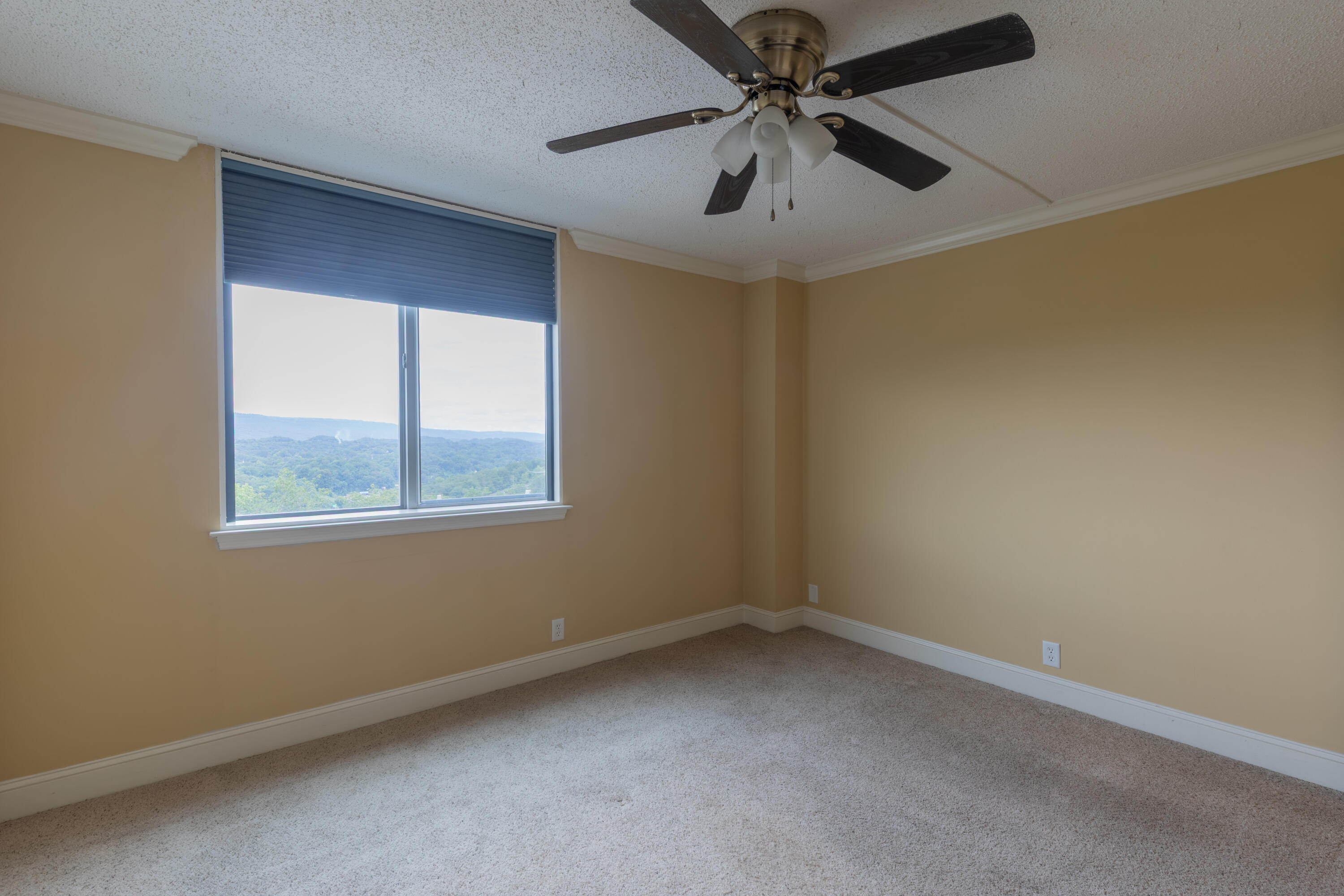 1131 Stringers Ridge Road, Unit 7C Chattanooga, TN 37405 - Photo 13 of 31 Pinnacle-12