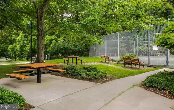 a park view with a bench and trees
