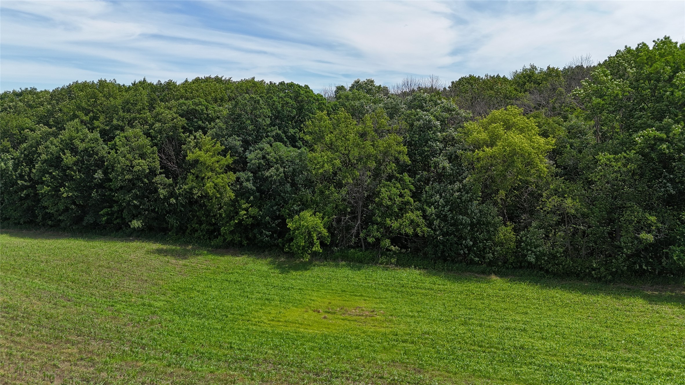 Tbd 230th Street Baldwin, WI 54002 - Photo 50 of 53
