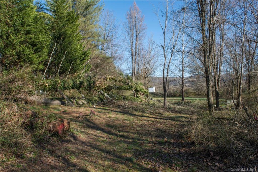 31 Batson Road Brevard, NC 28712 - Photo 6 of 32 Gallery Image 6