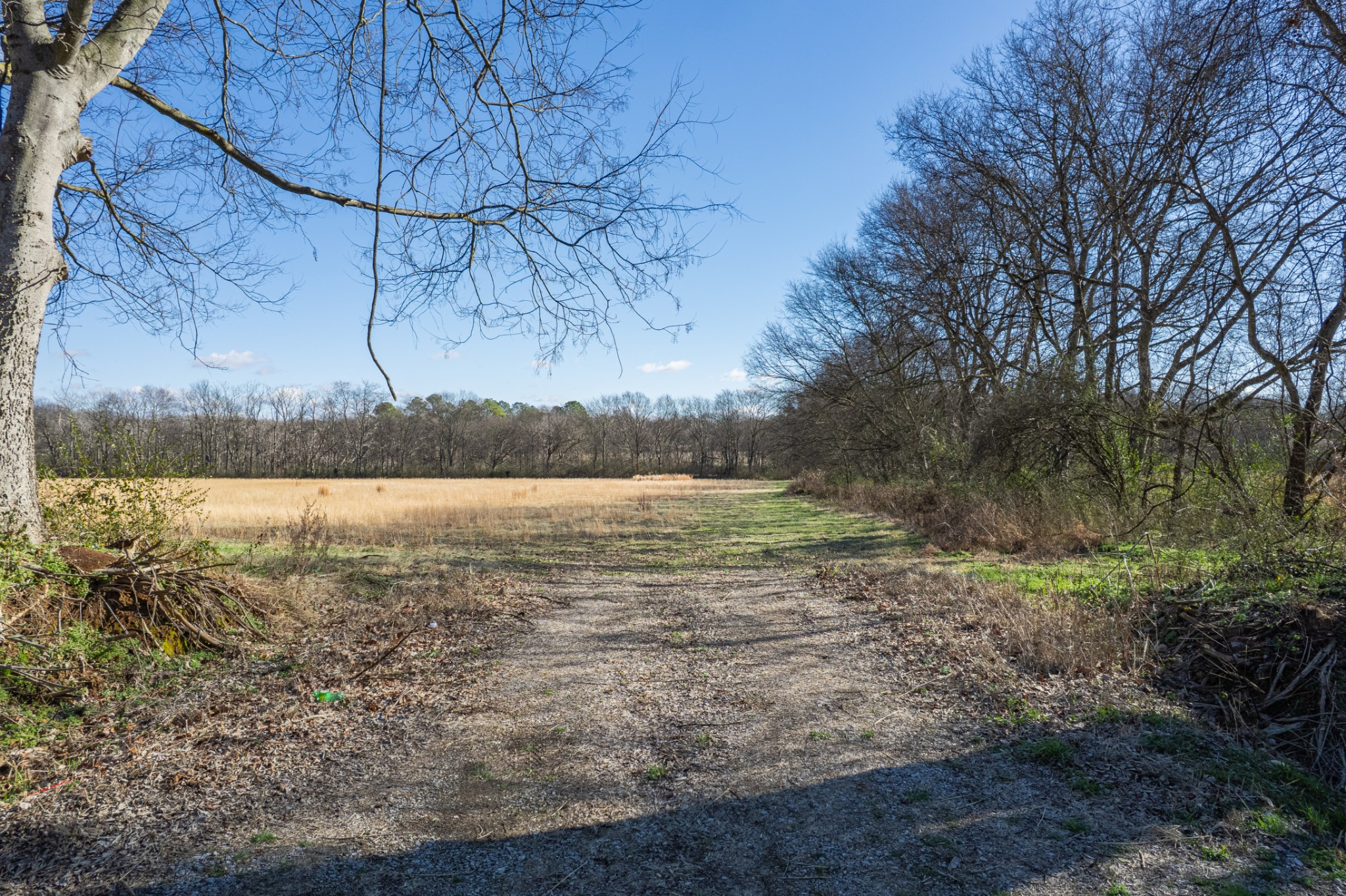 7729 Enterprise Road Mount Pleasant, TN 38474 - Photo 4 of 16