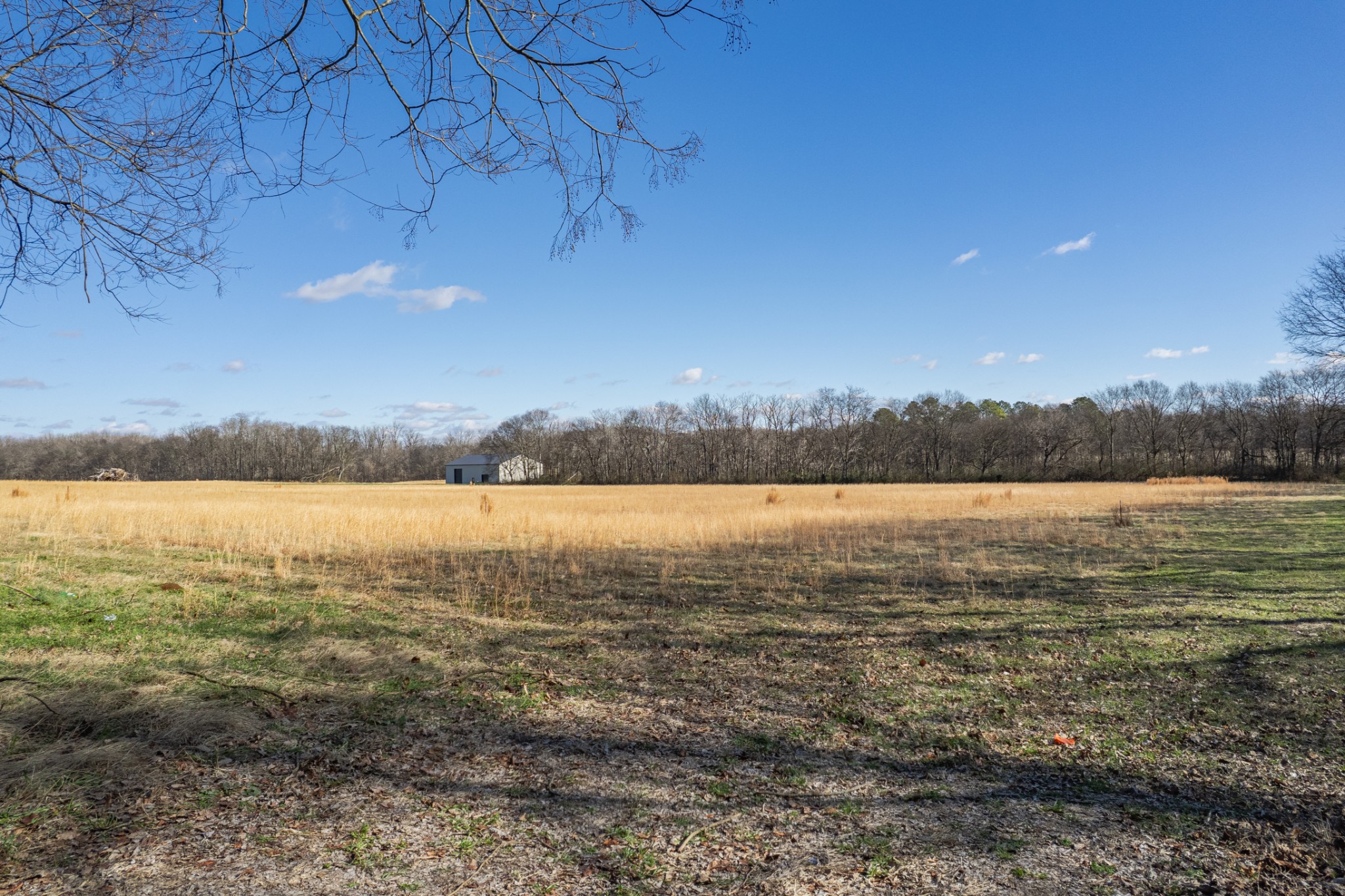 7729 Enterprise Road Mount Pleasant, TN 38474 - Photo 5 of 16 a view of lake with green space