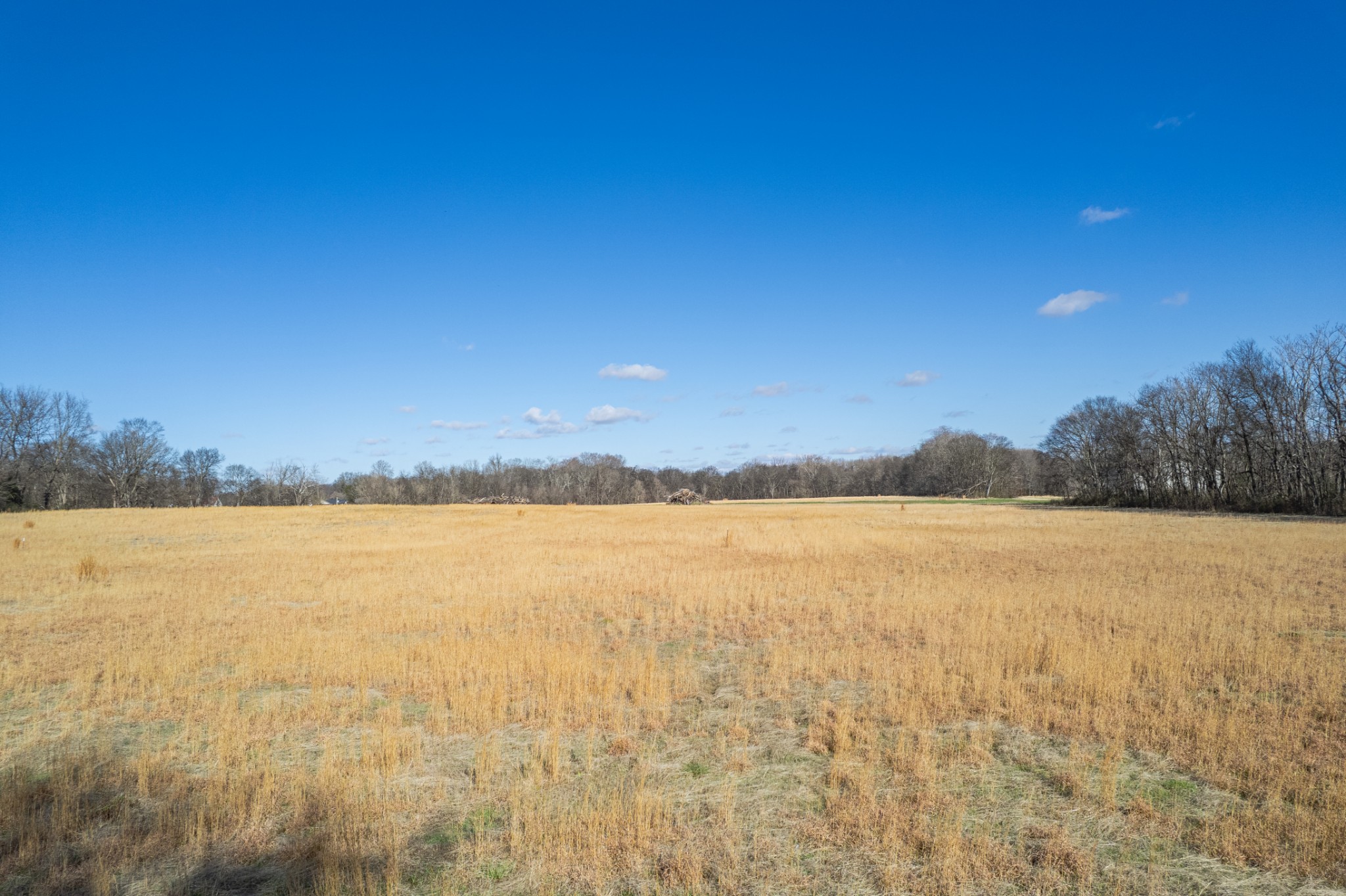 7729 Enterprise Road Mount Pleasant, TN 38474 - Photo 6 of 16 a view of an ocean and beach