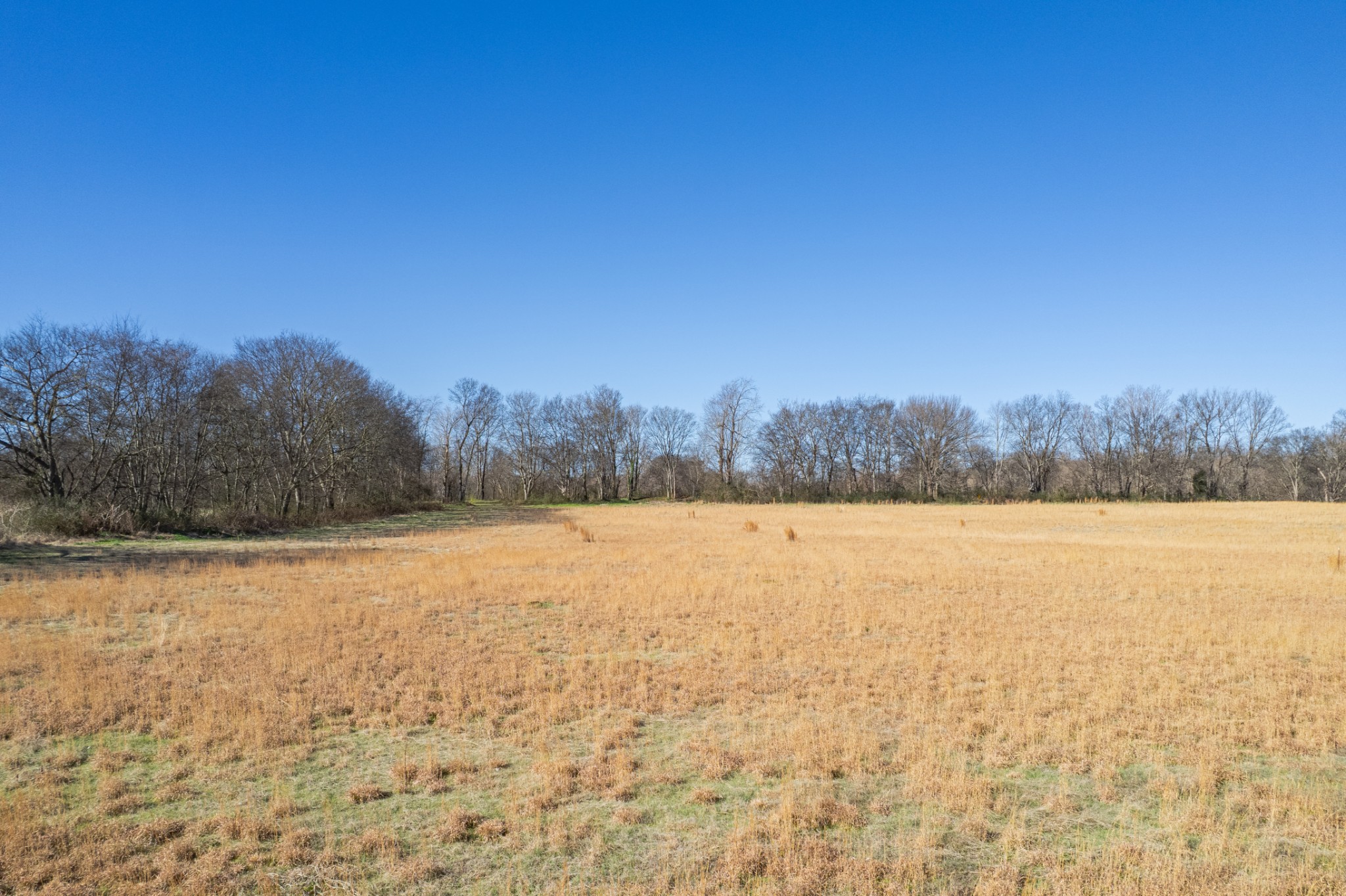 7729 Enterprise Road Mount Pleasant, TN 38474 - Photo 7 of 16 a view of an ocean and beach