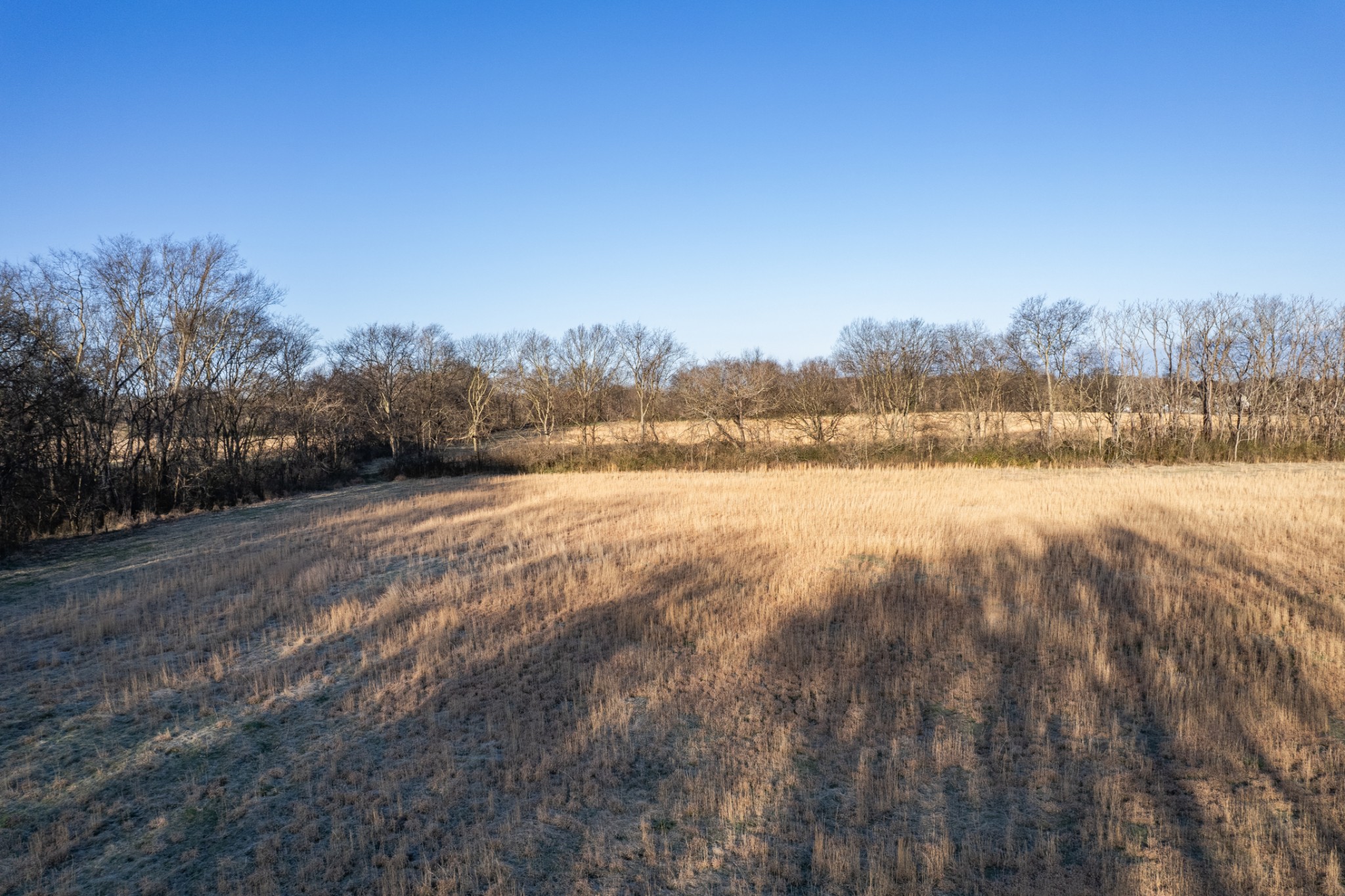 7729 Enterprise Road Mount Pleasant, TN 38474 - Photo 8 of 16 a view of outdoor space and trees