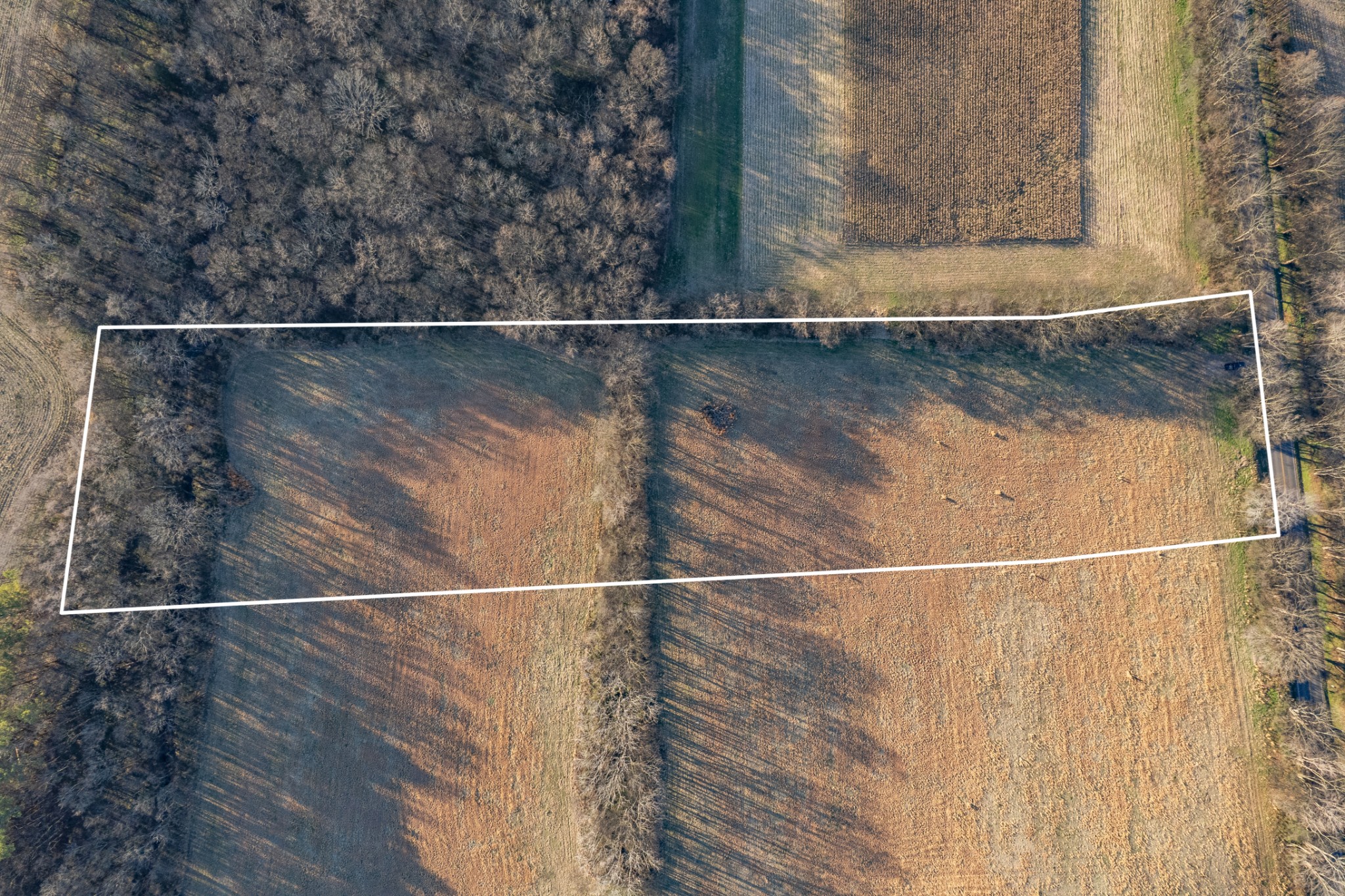 7729 Enterprise Road Mount Pleasant, TN 38474 - Photo 9 of 16