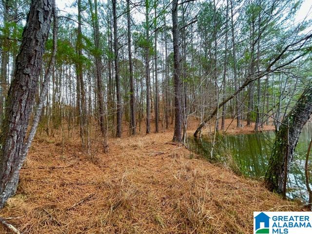 0 Deaver Walker Road Trafford, AL 35172 - Photo 13 of 28
