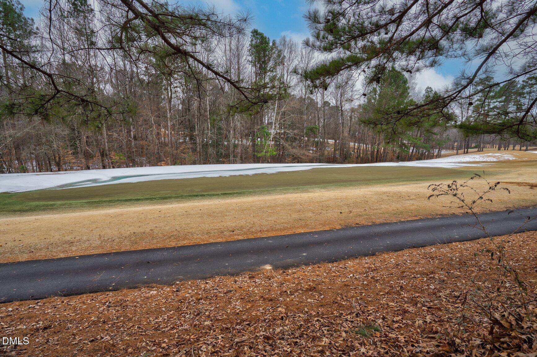 259 Sacred Fire Road Louisburg, NC 27549 - Photo 35 of 35 a view of a yard with an outdoor space
