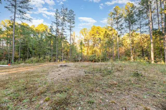 a view of a yard with large trees