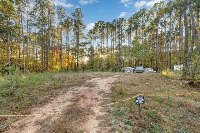 a view of yard with trees