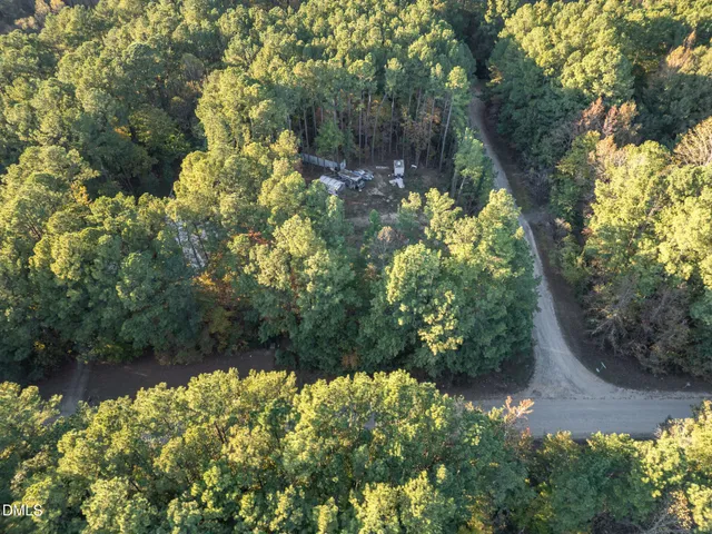 a view of a garden with a fountain
