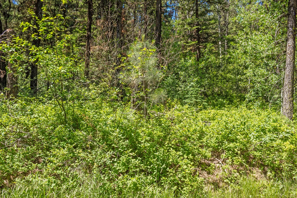 513 Susan Road, Unit 42 Cascade, ID 83611 - Photo 3 of 9 Gentle, Sloped Usable Lot