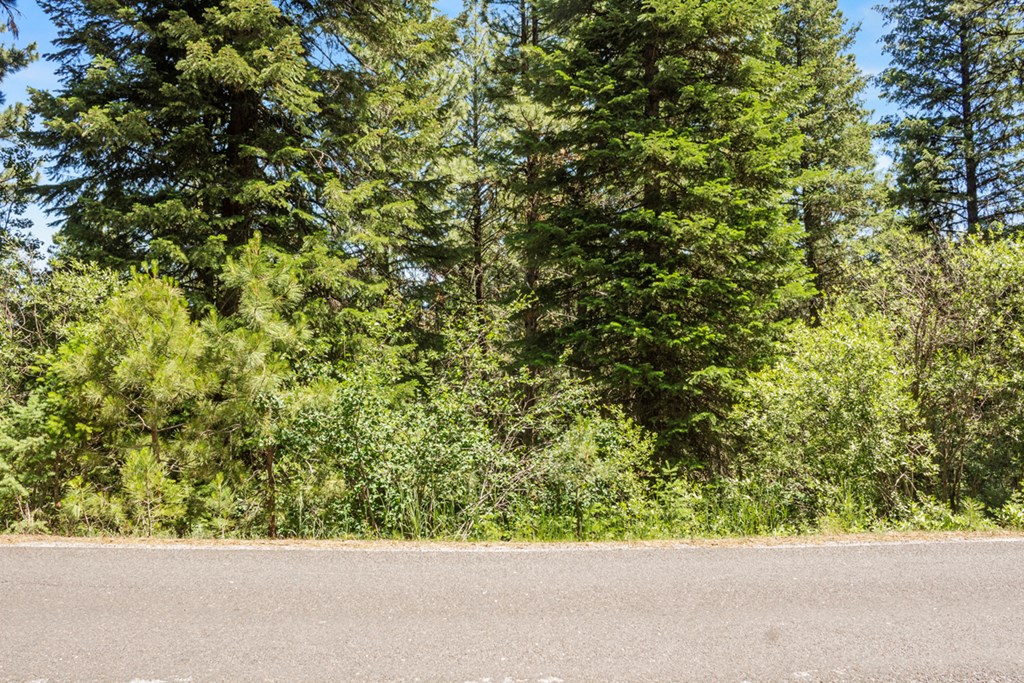 513 Susan Road, Unit 42 Cascade, ID 83611 - Photo 4 of 9 From West Mountain Road