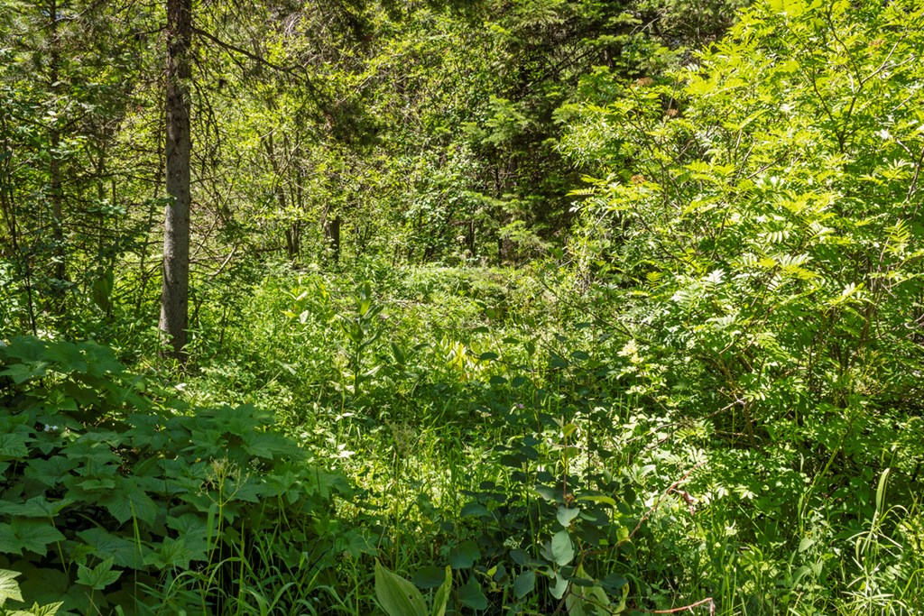 513 Susan Road, Unit 42 Cascade, ID 83611 - Photo 6 of 9 Hidden Gem