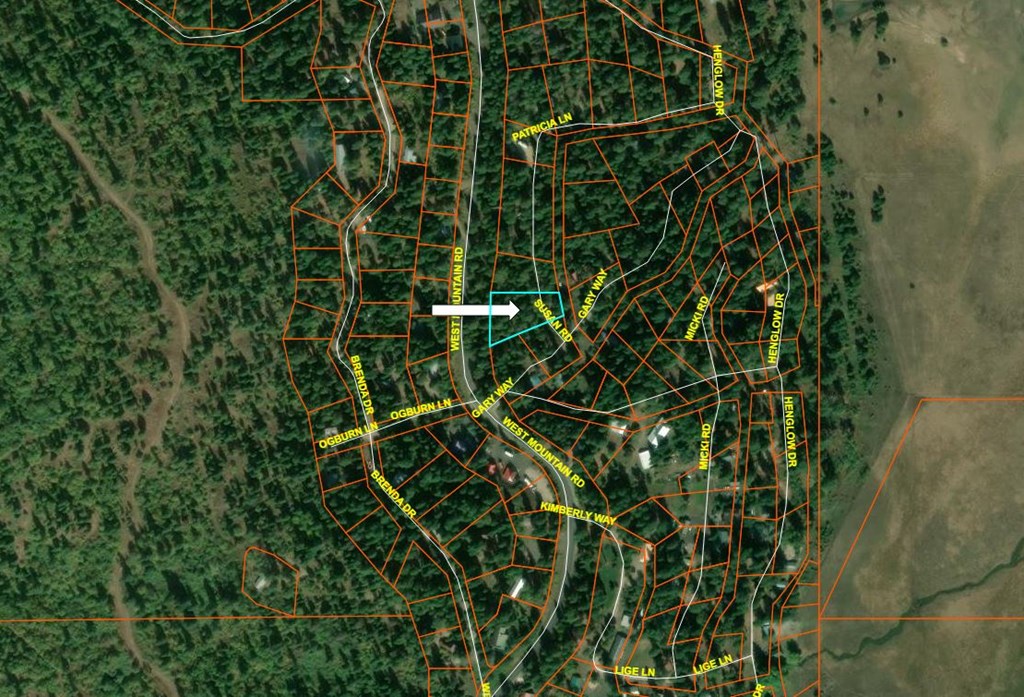 513 Susan Road, Unit 42 Cascade, ID 83611 - Photo 8 of 9 County Map